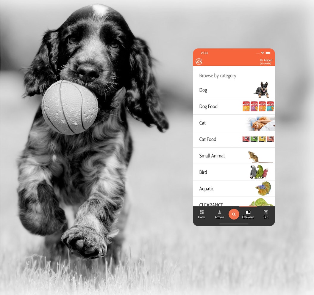 Elevating a B2B eCommerce Experience.